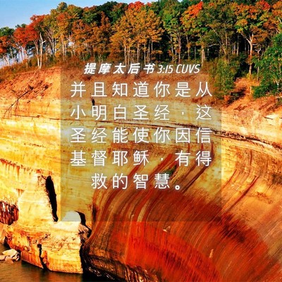 Picture 04 - 提 摩 太 后 书 3:15 CUVS - 并 且 知 道 你 是 从 小 明 白 圣 经 - Bible Verse Picture