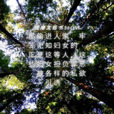 Picture 04 - 提 摩 太 后 书 3:6 CUVS - 那 偷 进 人 家 、 牢 笼 无 知 妇 女 - Bible Verse Picture