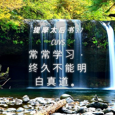 Picture 04 - 提 摩 太 后 书 3:7 CUVS - 常 常 学 习 ， 终 久 不 能 明 白 真 - Bible Verse Picture