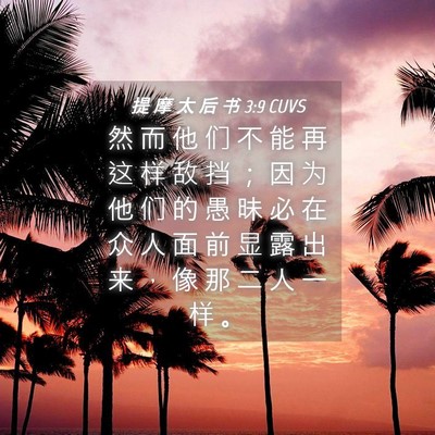 Picture 04 - 提 摩 太 后 书 3:9 CUVS - 然 而 他 们 不 能 再 这 样 敌 挡 ； - Bible Verse Picture
