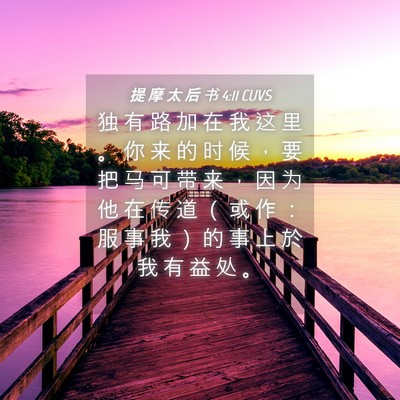 Picture 04 - 提 摩 太 后 书 4:11 CUVS - 独 有 路 加 在 我 这 里 。 你 来 的 - Bible Verse Picture