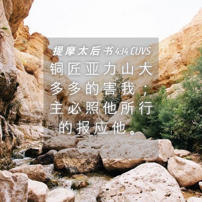 Picture 04 - 提 摩 太 后 书 4:14 CUVS - 铜 匠 亚 力 山 大 多 多 的 害 我 ； - Bible Verse Picture