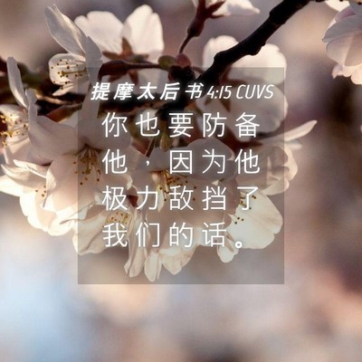 Picture 04 - 提 摩 太 后 书 4:15 CUVS - 你 也 要 防 备 他 ， 因 为 他 极 力 - Bible Verse Picture