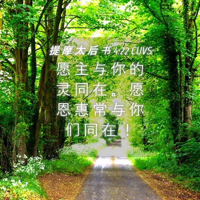 Picture 04 - 提 摩 太 后 书 4:22 CUVS - 愿 主 与 你 的 灵 同 在 。 愿 恩 惠 - Bible Verse Picture