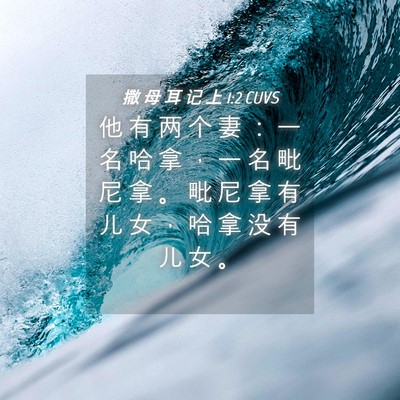 Picture 04 - 撒 母 耳 记 上 1:2 CUVS - 他 有 两 个 妻 ： 一 名 哈 拿 ， 一 - Bible Verse Picture