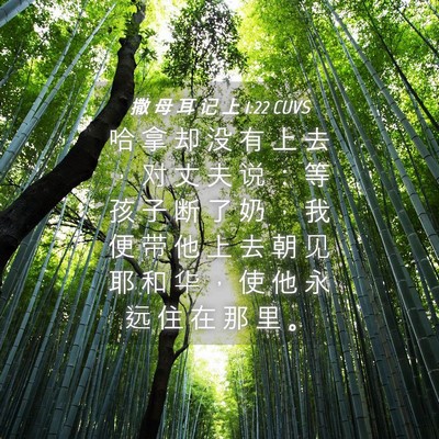 Picture 04 - 撒 母 耳 记 上 1:22 CUVS - 哈 拿 却 没 有 上 去 ， 对 丈 夫 说 - Bible Verse Picture