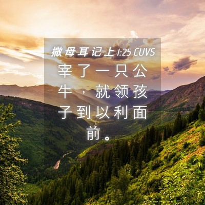 Picture 04 - 撒 母 耳 记 上 1:25 CUVS - 宰 了 一 只 公 牛 ， 就 领 孩 子 到 - Bible Verse Picture