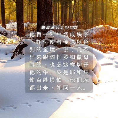 Picture 04 - 撒 母 耳 记 上 11:7 CUVS - 他 将 一 对 牛 切 成 块 子 ， 托 付 - Bible Verse Picture