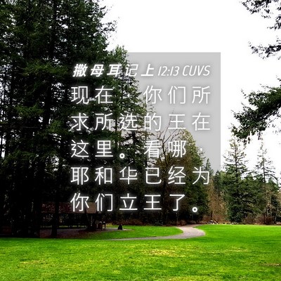 Picture 04 - 撒 母 耳 记 上 12:13 CUVS - 现 在 ， 你 们 所 求 所 选 的 王 在 - Bible Verse Picture
