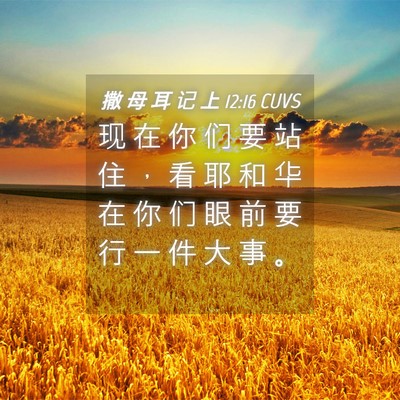 Picture 04 - 撒 母 耳 记 上 12:16 CUVS - 现 在 你 们 要 站 住 ， 看 耶 和 华 - Bible Verse Picture