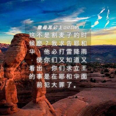 Picture 04 - 撒 母 耳 记 上 12:17 CUVS - 这 不 是 割 麦 子 的 时 候 麽 ？ 我 - Bible Verse Picture
