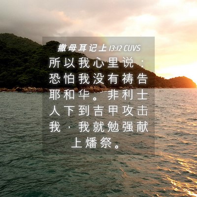 Picture 04 - 撒 母 耳 记 上 13:12 CUVS - 所 以 我 心 里 说 ： 恐 怕 我 没 有 - Bible Verse Picture