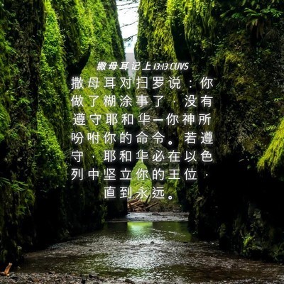 Picture 04 - 撒 母 耳 记 上 13:13 CUVS - 撒 母 耳 对 扫 罗 说 ： 你 做 了 糊 - Bible Verse Picture