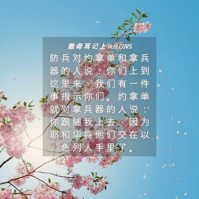 Picture 04 - 撒 母 耳 记 上 14:12 CUVS - 防 兵 对 约 拿 单 和 拿 兵 器 的 人 - Bible Verse Picture