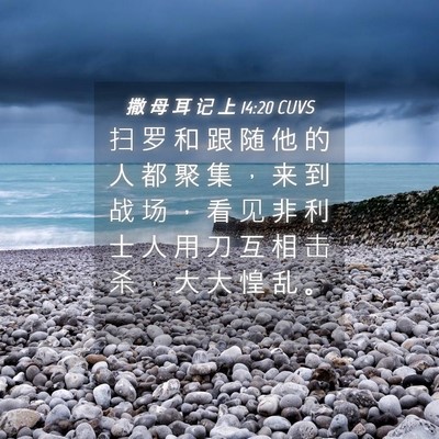 Picture 04 - 撒 母 耳 记 上 14:20 CUVS - 扫 罗 和 跟 随 他 的 人 都 聚 集 ， - Bible Verse Picture