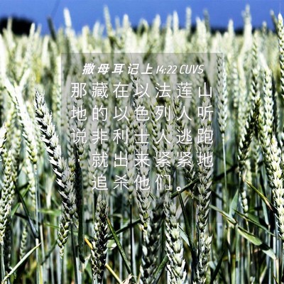Picture 04 - 撒 母 耳 记 上 14:22 CUVS - 那 藏 在 以 法 莲 山 地 的 以 色 列 - Bible Verse Picture