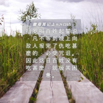 Picture 04 - 撒 母 耳 记 上 14:24 CUVS - 扫 罗 叫 百 姓 起 誓 说 ， 凡 不 等 - Bible Verse Picture