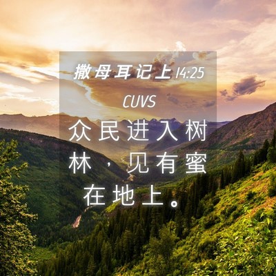 Picture 04 - 撒 母 耳 记 上 14:25 CUVS - 众 民 进 入 树 林 ， 见 有 蜜 在 地 - Bible Verse Picture