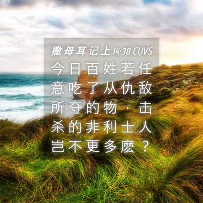 Picture 04 - 撒 母 耳 记 上 14:30 CUVS - 今 日 百 姓 若 任 意 吃 了 从 仇 敌 - Bible Verse Picture