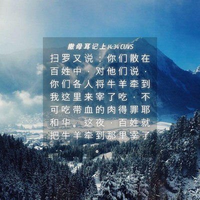 Picture 04 - 撒 母 耳 记 上 14:34 CUVS - 扫 罗 又 说 ： 你 们 散 在 百 姓 中 - Bible Verse Picture