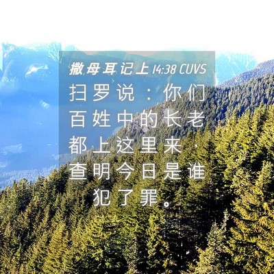 Picture 04 - 撒 母 耳 记 上 14:38 CUVS - 扫 罗 说 ： 你 们 百 姓 中 的 长 老 - Bible Verse Picture