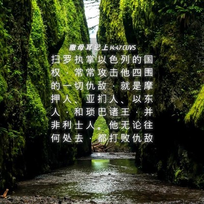 Picture 04 - 撒 母 耳 记 上 14:47 CUVS - 扫 罗 执 掌 以 色 列 的 国 权 ， 常 - Bible Verse Picture