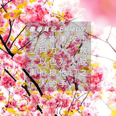 Picture 04 - 撒 母 耳 记 上 14:48 CUVS - 扫 罗 奋 勇 攻 击 亚 玛 力 人 ， 救 - Bible Verse Picture
