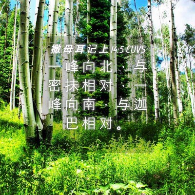 Picture 04 - 撒 母 耳 记 上 14:5 CUVS - 一 峰 向 北 ， 与 密 抹 相 对 ， 一 - Bible Verse Picture