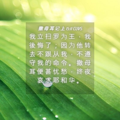 Picture 04 - 撒 母 耳 记 上 15:11 CUVS - 我 立 扫 罗 为 王 ， 我 後 悔 了 ； - Bible Verse Picture