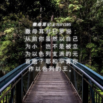 Picture 04 - 撒 母 耳 记 上 15:17 CUVS - 撒 母 耳 对 扫 罗 说 ： 从 前 你 虽 - Bible Verse Picture