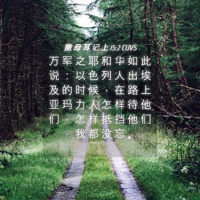Picture 04 - 撒 母 耳 记 上 15:2 CUVS - 万 军 之 耶 和 华 如 此 说 ： 以 色 - Bible Verse Picture