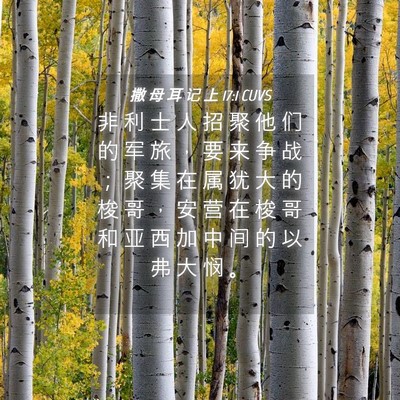 Picture 04 - 撒 母 耳 记 上 17:1 CUVS - 非 利 士 人 招 聚 他 们 的 军 旅 ， - Bible Verse Picture