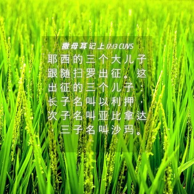 Picture 04 - 撒 母 耳 记 上 17:13 CUVS - 耶 西 的 三 个 大 儿 子 跟 随 扫 罗 - Bible Verse Picture