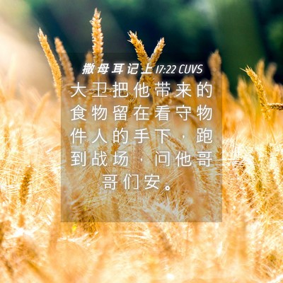 Picture 04 - 撒 母 耳 记 上 17:22 CUVS - 大 卫 把 他 带 来 的 食 物 留 在 看 - Bible Verse Picture
