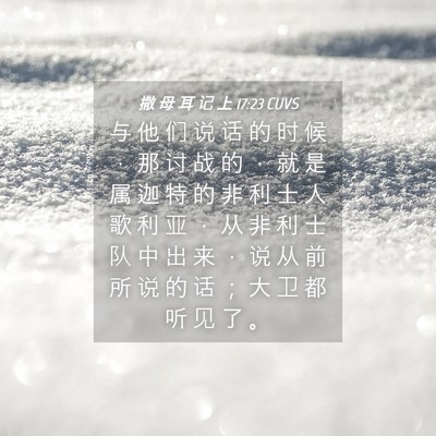 Picture 04 - 撒 母 耳 记 上 17:23 CUVS - 与 他 们 说 话 的 时 候 ， 那 讨 战 - Bible Verse Picture