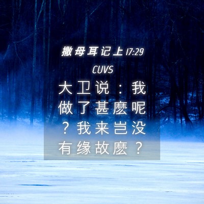 Picture 04 - 撒 母 耳 记 上 17:29 CUVS - 大 卫 说 ： 我 做 了 甚 麽 呢 ？ 我 - Bible Verse Picture