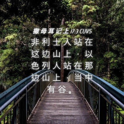 Picture 04 - 撒 母 耳 记 上 17:3 CUVS - 非 利 士 人 站 在 这 边 山 上 ， 以 - Bible Verse Picture