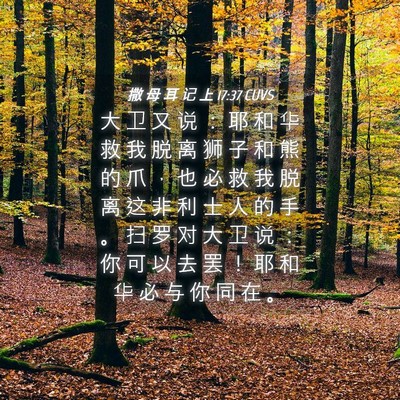 Picture 04 - 撒 母 耳 记 上 17:37 CUVS - 大 卫 又 说 ： 耶 和 华 救 我 脱 离 - Bible Verse Picture