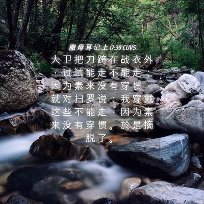 Picture 04 - 撒 母 耳 记 上 17:39 CUVS - 大 卫 把 刀 跨 在 战 衣 外 ， 试 试 - Bible Verse Picture