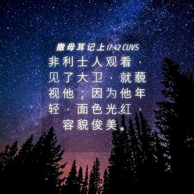 Picture 04 - 撒 母 耳 记 上 17:42 CUVS - 非 利 士 人 观 看 ， 见 了 大 卫 ， - Bible Verse Picture