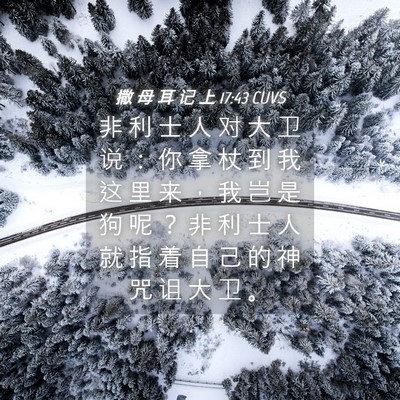 Picture 04 - 撒 母 耳 记 上 17:43 CUVS - 非 利 士 人 对 大 卫 说 ： 你 拿 杖 - Bible Verse Picture
