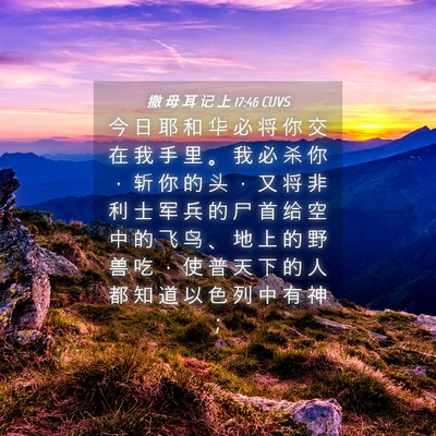 Picture 04 - 撒 母 耳 记 上 17:46 CUVS - 今 日 耶 和 华 必 将 你 交 在 我 手 - Bible Verse Picture