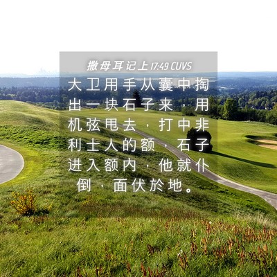 Picture 04 - 撒 母 耳 记 上 17:49 CUVS - 大 卫 用 手 从 囊 中 掏 出 一 块 石 - Bible Verse Picture
