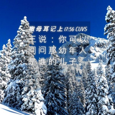 Picture 04 - 撒 母 耳 记 上 17:56 CUVS - 王 说 ： 你 可 以 问 问 那 幼 年 人 - Bible Verse Picture