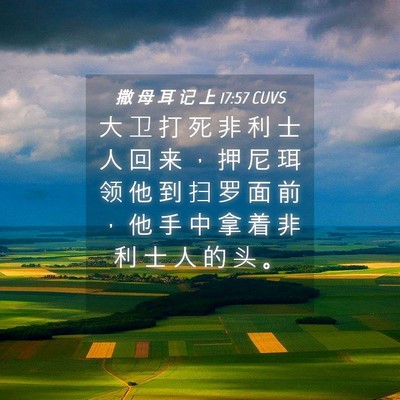 Picture 04 - 撒 母 耳 记 上 17:57 CUVS - 大 卫 打 死 非 利 士 人 回 来 ， 押 - Bible Verse Picture