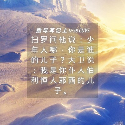 Picture 04 - 撒 母 耳 记 上 17:58 CUVS - 扫 罗 问 他 说 ： 少 年 人 哪 ， 你 - Bible Verse Picture