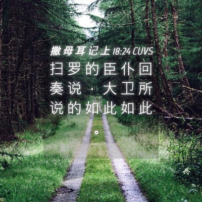 Picture 04 - 撒 母 耳 记 上 18:24 CUVS - 扫 罗 的 臣 仆 回 奏 说 ， 大 卫 所 - Bible Verse Picture
