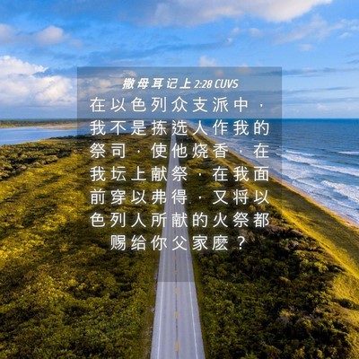 Picture 04 - 撒 母 耳 记 上 2:28 CUVS - 在 以 色 列 众 支 派 中 ， 我 不 是 - Bible Verse Picture