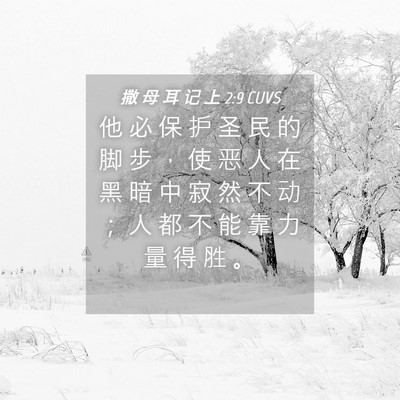 Picture 04 - 撒 母 耳 记 上 2:9 CUVS - 他 必 保 护 圣 民 的 脚 步 ， 使 恶 - Bible Verse Picture