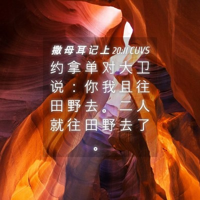 Picture 04 - 撒 母 耳 记 上 20:11 CUVS - 约 拿 单 对 大 卫 说 ： 你 我 且 往 - Bible Verse Picture